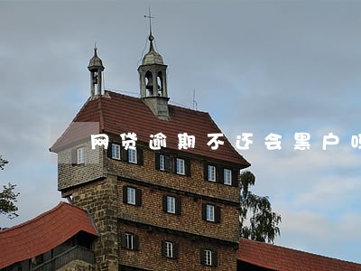 网贷逾期不还会黑户吗 网贷逾期不还会黑户吗