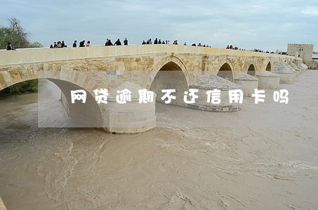 网贷逾期不还信用卡吗