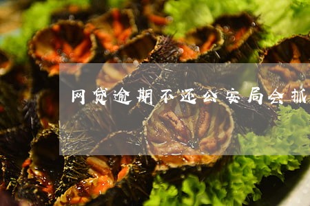 网贷逾期不还公安局会抓人吗 网贷逾期不还公安局会抓人吗