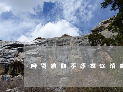 网贷逾期不还可以消除吗 网贷逾期不还可以消除吗