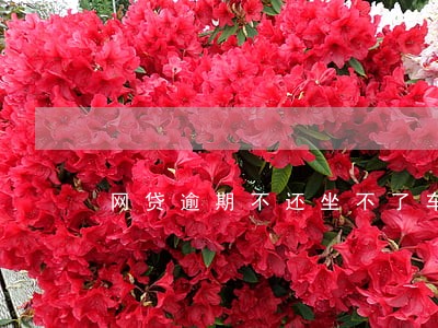 网贷逾期不还坐不了车 网贷逾期不还坐不了车
