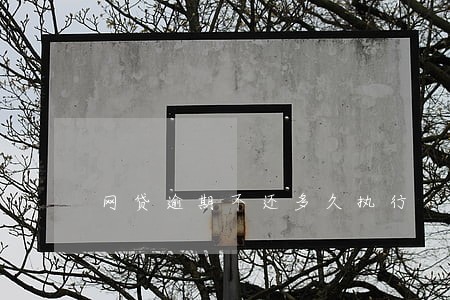 网贷逾期不还多久执行 网贷逾期不还多久执行