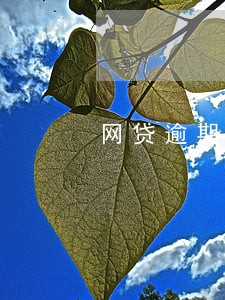 网贷逾期不还多少钱被起诉 网贷逾期不还多少钱被起诉