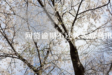 网贷逾期不还天天爆通讯录吗 网贷逾期不还天天爆通讯录吗