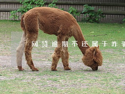 网贷逾期不还属于咋骗吗 网贷逾期不还属于咋骗吗