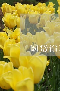 网贷逾期不还开庭视频