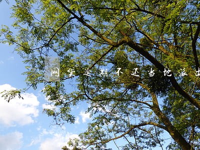网贷逾期不还当地派出所 网贷逾期不还当地派出所
