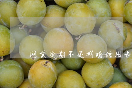 网贷逾期不还影响信用卡吗 网贷逾期不还影响信用卡吗