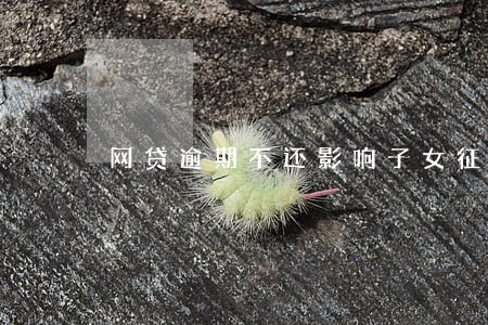 网贷逾期不还影响子女征信吗