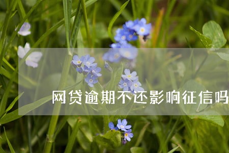 网贷逾期不还影响征信吗 网贷逾期不还影响征信吗
