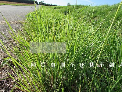 网贷逾期不还找不到人 网贷逾期不还找不到人