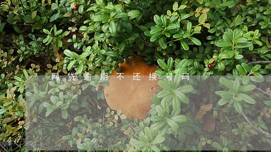 网贷逾期不还换号码 网贷逾期不还换号码