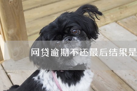 网贷逾期不还最后结果是什么 网贷逾期不还最后结果是什么