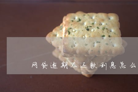 网贷逾期不还款利息怎么算 网贷逾期不还款利息怎么算