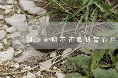 网贷逾期不还款报警有用吗 网贷逾期不还款报警有用吗
