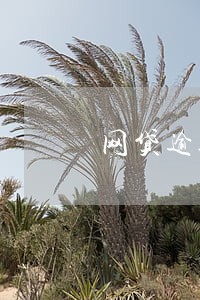 网贷逾期不还没事吗 网贷逾期不还没事吗
