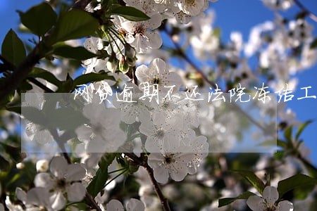 网贷逾期不还法院冻结工资卡 网贷逾期不还法院冻结工资卡