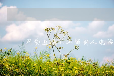 网贷逾期不还留别人电话 网贷逾期不还留别人电话
