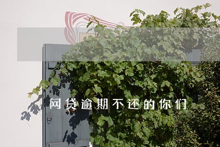 网贷逾期不还的你们 网贷逾期不还的你们