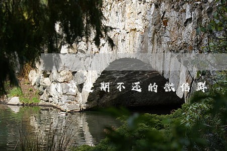 网贷逾期不还的微信群