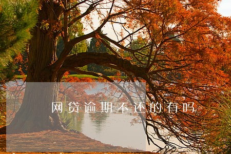 网贷逾期不还的有吗