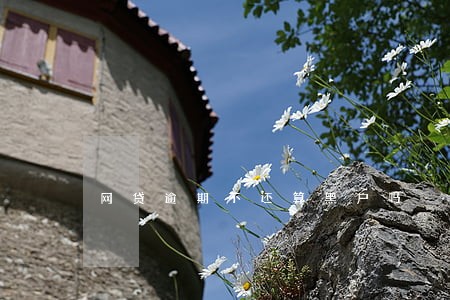 网贷逾期不还算黑户吗 网贷逾期不还算黑户吗