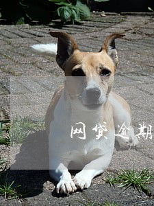 网贷逾期不还能分期买车吗 网贷逾期不还能分期买车吗