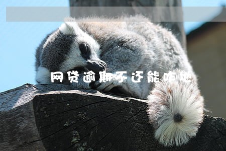网贷逾期不还能咋地 网贷逾期不还能咋地