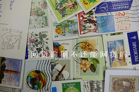 网贷逾期不还能网贷吗 网贷逾期不还能网贷吗