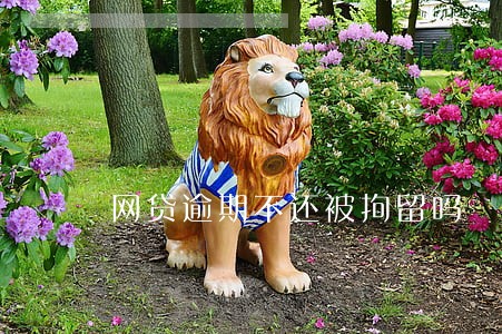 网贷逾期不还被拘留吗
