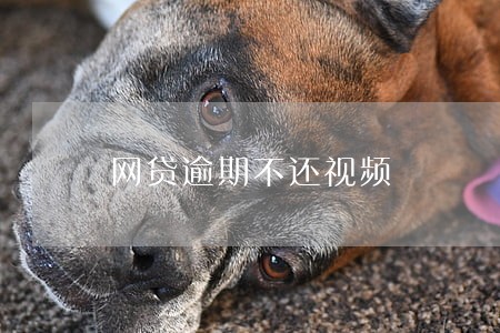 网贷逾期不还视频 网贷逾期不还视频