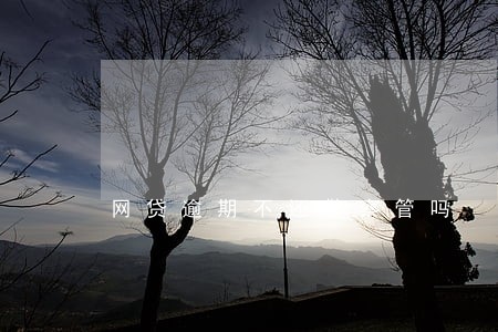 网贷逾期不还警察管吗 网贷逾期不还警察管吗