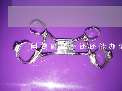 网贷逾期不还还能办信用卡吗