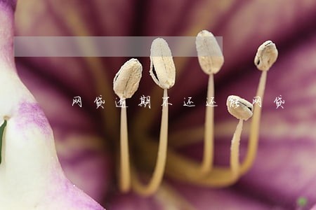 网贷逾期不还还能网贷 网贷逾期不还还能网贷