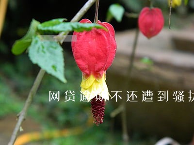 网贷逾期不还遭到骚扰 网贷逾期不还遭到骚扰