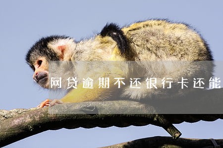 网贷逾期不还银行卡还能用吗 网贷逾期不还银行卡还能用吗