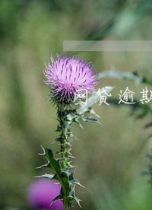 网贷逾期不还长时间有什么后果 网贷逾期不还长时间有什么后果