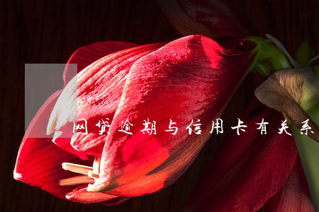 网贷逾期与信用卡有关系没 网贷逾期与信用卡有关系没