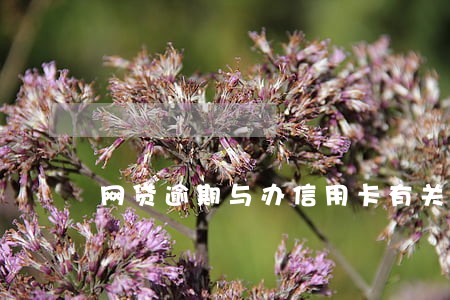 网贷逾期与办信用卡有关系吗 网贷逾期与办信用卡有关系吗