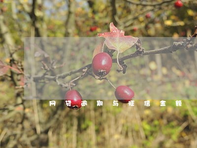 网贷逾期与征信金额 网贷逾期与征信金额