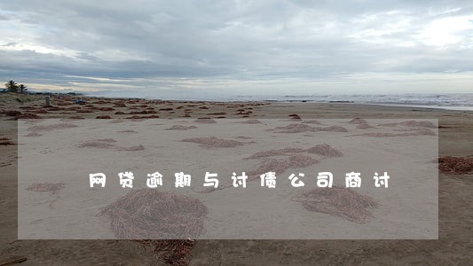 网贷逾期与讨债公司商讨 网贷逾期与讨债公司商讨