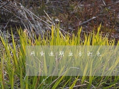 网贷逾期业务打包 网贷逾期业务打包