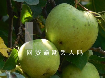 网贷逾期丢人吗 网贷逾期丢人吗