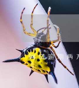 网贷逾期两万五 网贷逾期两万五