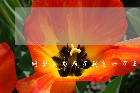 网贷逾期两万利息一万正常吗 网贷逾期两万利息一万正常吗