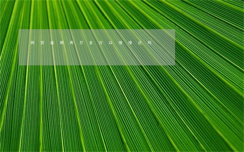 网贷逾期两万多可以慢慢还吗 网贷逾期两万多可以慢慢还吗