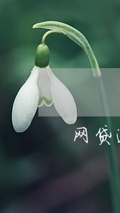 网贷逾期两万怎么办 网贷逾期两万怎么办