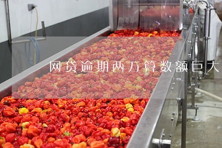 网贷逾期两万算数额巨大吗 网贷逾期两万算数额巨大吗