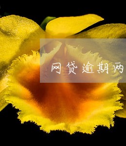 网贷逾期两三天上征信吗 网贷逾期两三天上征信吗