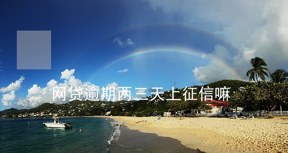 网贷逾期两三天上征信嘛 网贷逾期两三天上征信嘛